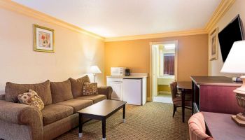 A cozy hotel room with a beige couch, coffee table, TV, desk, mini-fridge, microwave, and a wall lamp, leading to a bathroom area.